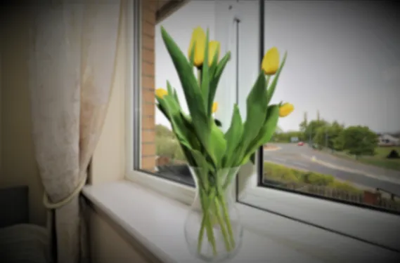 Wilkie House Holytown Holytown - Apartment in ML1 4YU, Motherwell, North Lanarkshire, Scotland, United Kingdom - Property image 14 - VivreStays