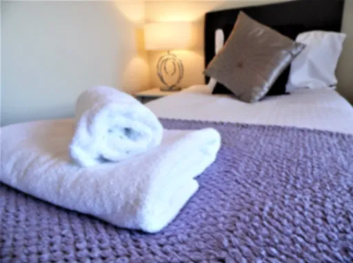 Douglas View Blantyre Blantyre - Apartment in G72 0TJ, Glasgow, South Lanarkshire, Scotland, United Kingdom - Property image 10 - VivreStays