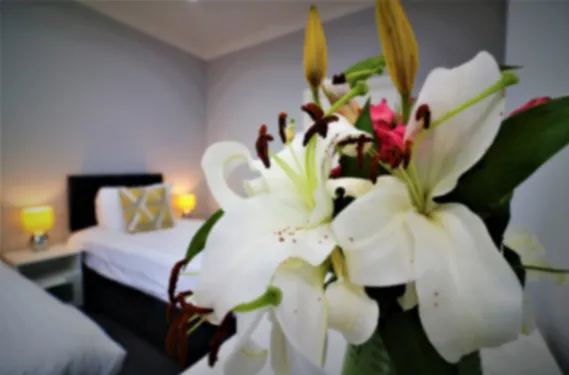 View Greenlees Clubhouse 2 bed - Cambuslang Blantyre - Apartment in G72 8YN Greenlees Clubhouse 2 bed - Cambuslang Blantyre - Apartment in G72 8YN - Property image 8 - VivreStays